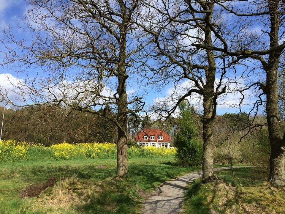 B&B De Zulthe Roden Bagian luar foto